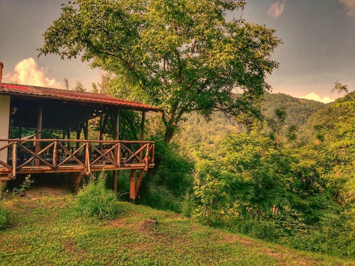 Cabana Rasarit De Soare Hotel Galesu Luaran gambar